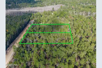 1166 Alene Drive, Alford, FL 32420 - Photo 4