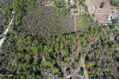 0 Stevens Road, Altha, FL 32421 - Photo 14