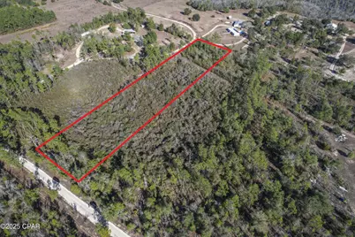 0 Stevens Road, Altha, FL 32421 - Photo 6