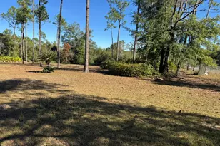 2623 Owen Ct, Alford, FL 32420 - Photo 40