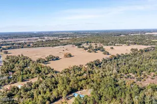 4260 Kimbell Rd, Greenwood, FL 32443 - Photo 56