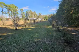 5459 Hwy 2, Bascom, FL 32423 - Photo 44