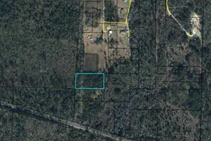 0 Buttercup Ln, Cottondale, FL 32431 - Photo 1