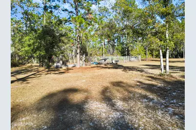 13563 SW Forest Road 141, Bristol, FL 32321 - Photo 18