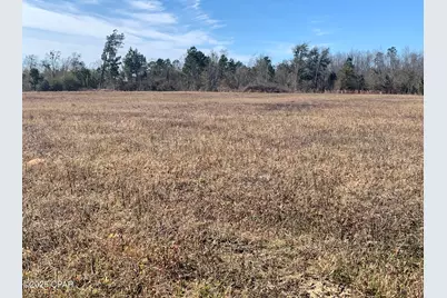 0000 Sr 73 Highway, Clarksville, FL 32430 - Photo 6