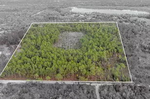 3-1N-11W Baker Rd, Altha, FL 32421 - Photo 1