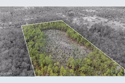 3-1N-11W Baker Road, Altha, FL 32421 - Photo 4