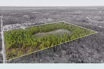 3-1N-11W Baker Road, Altha, FL 32421 - Photo 2