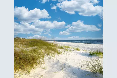 112 Conch Street, Port Saint Joe, FL 32456 - Photo 20