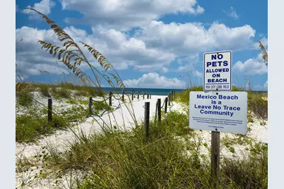 116 42nd Street, Mexico Beach, FL 32456 - Photo 32