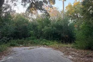 000 Fountain Ave, Panama City, FL 32405 - Photo 4