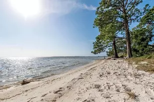 3555 Sanctuary Dr, Panama City, FL 32408 - Photo 6