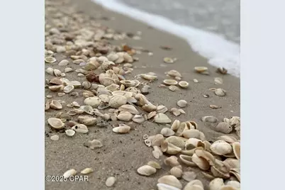 135 Hemmingway Circle, Port Saint Joe, FL 32456 - Photo 22