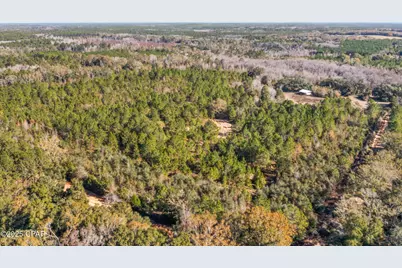 2539 Davids Road, Vernon, FL 32462 - Photo 28