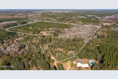 2539 Davids Road, Vernon, FL 32462 - Photo 2