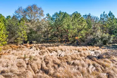 2539 Davids Road, Vernon, FL 32462 - Photo 10