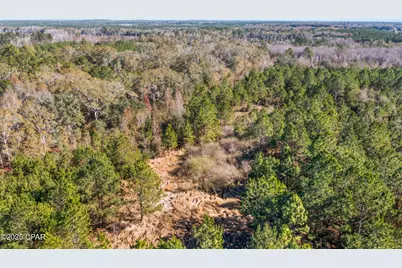 2539 Davids Road, Vernon, FL 32462 - Photo 24