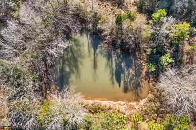 2539 Davids Road, Vernon, FL 32462 - Photo 8