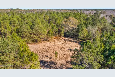 2539 Davids Road, Vernon, FL 32462 - Photo 22