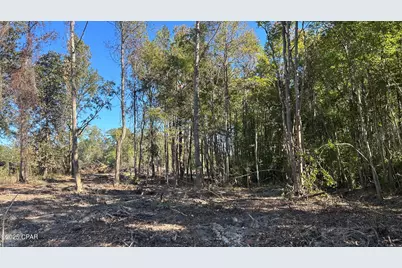 23834 N State Line Highway, Laurel Hill, FL 32567 - Photo 18