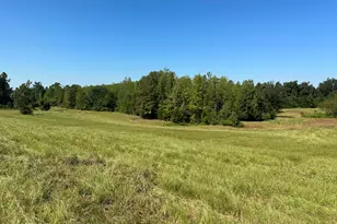 3622 Cypress Tree Ln, Marianna, FL 32448 - Photo 32