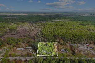 371 Newman Point Rd, Southport, FL 32409 - Photo 1