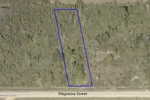 11719 Magnolia St, Fountain, FL 32438 - Photo 1