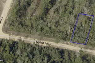 11721 Ivydell St, Fountain, FL 32438 - Photo 1