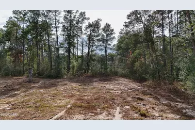 14209 Big Island Pond Road, Southport, FL 32409 - Photo 8