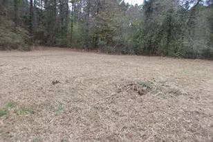 1792 N Hwy 79, Bonifay, FL 32425 - Photo 20