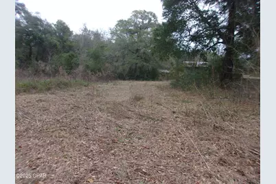 1724 Highway 173, Bonifay, FL 32425 - Photo 2