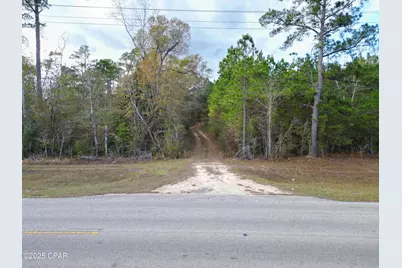 Tbd NW County Road 12, Bristol, FL 32321 - Photo 8