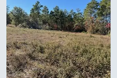 13814 Highway 77, Southport, FL 32409 - Photo 2