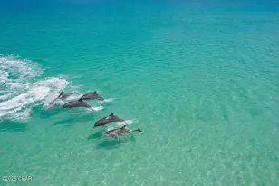 7508 Thomas Dr, Panama City Beach, FL 32408 - Photo 52