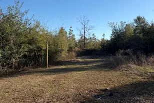 10626 Happyville Rd, Youngstown, FL 32466 - Photo 34