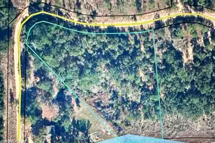 Lot 40 Grassy Pond Rd, Chipley, FL 32428 - Photo 1