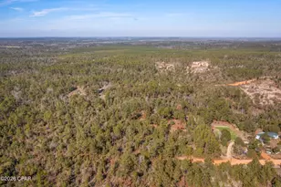 3031 Pine Oaks Ln, Chipley, FL 32428 - Photo 52