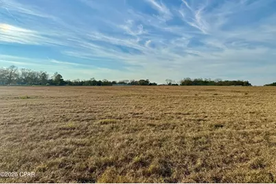 3321 Highway 160, Bonifay, FL 32425 - Photo 12