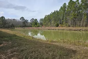 571 Bryant Landing Rd, Wewahitchka, FL 32465 - Photo 24