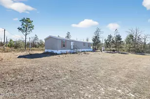 6830 NW Porter Grade Rd, Altha, FL 32421 - Photo 2