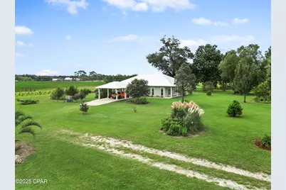 5223 Palamino Lane, Greenwood, FL 32443 - Photo 2
