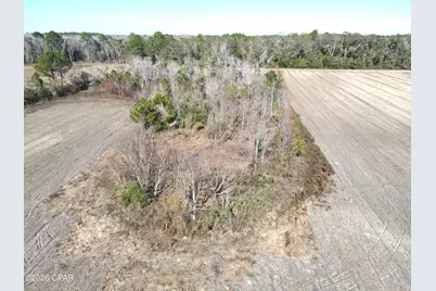 0 Rob Forehand Road, Bonifay, FL 32425 - Photo 12