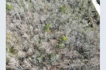 0 Rob Forehand Road, Bonifay, FL 32425 - Photo 14