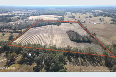 0 Rob Forehand Road, Bonifay, FL 32425 - Photo 2