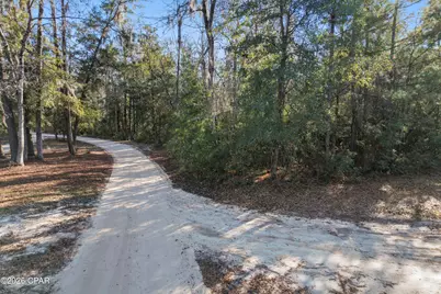 000 Lot 1 Cypress, Chipley, FL 32428 - Photo 14