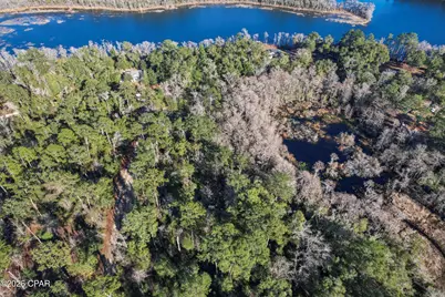000 Lot 2 Cypress, Chipley, FL 32428 - Photo 6