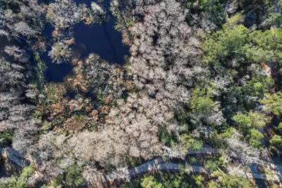 000 Lot 2 Cypress, Chipley, FL 32428 - Photo 8