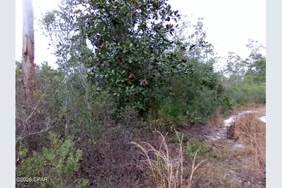 0 Klondyke Road, Youngstown, FL 32466 - Photo 6