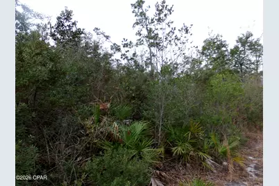 0 Klondyke Road, Youngstown, FL 32466 - Photo 8