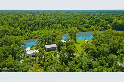 316 Byrd Parker Drive, Wewahitchka, FL 32465 - Photo 8